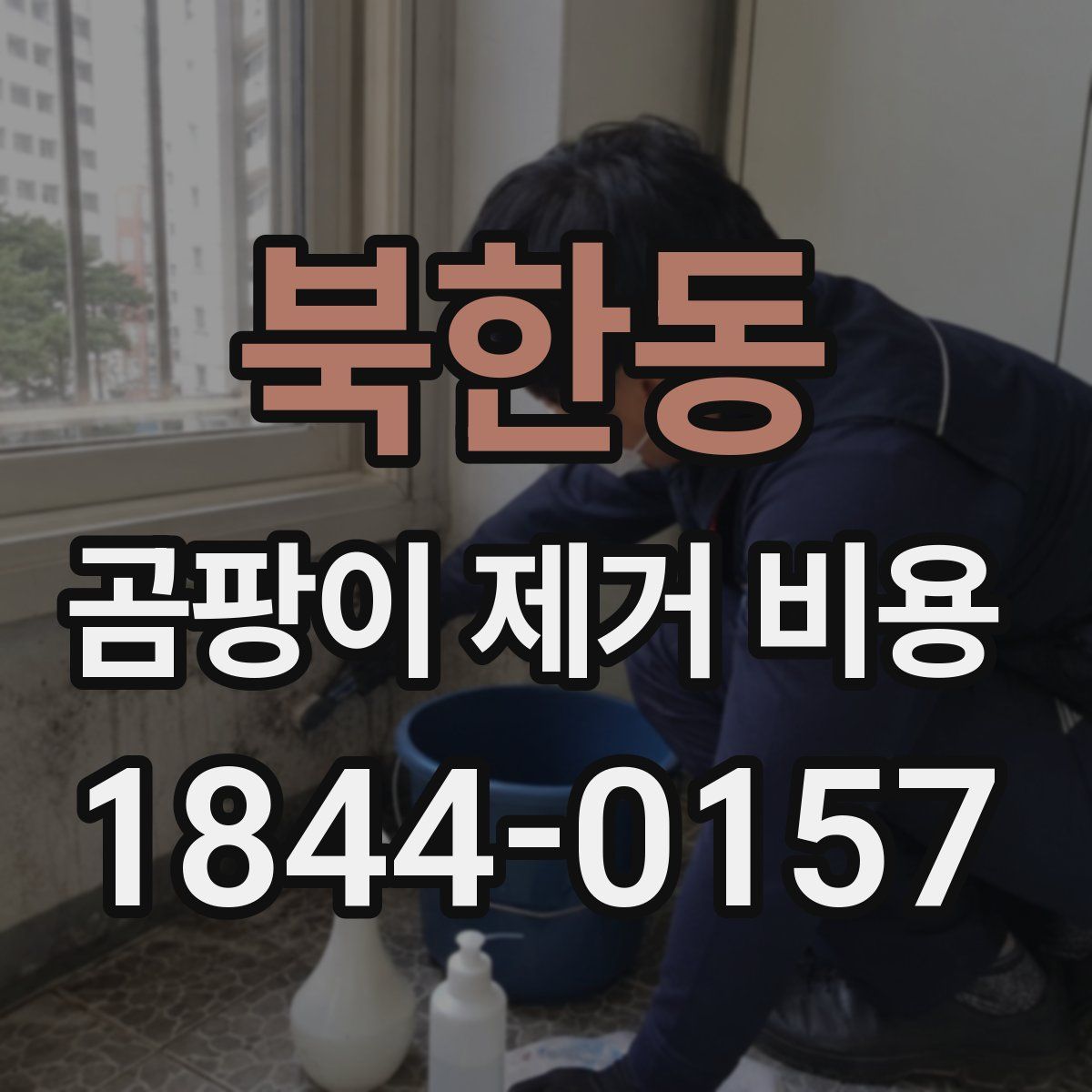 북한동 곰팡이 제거 비용