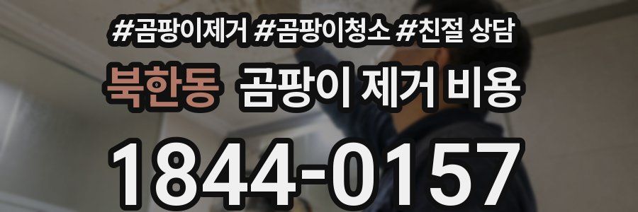 북한동 곰팡이 제거 비용