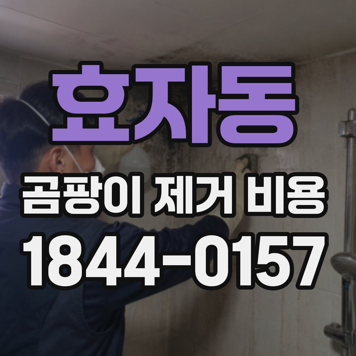 효자동 곰팡이 제거 비용