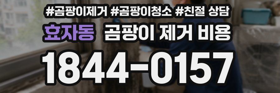 효자동 곰팡이 제거 비용