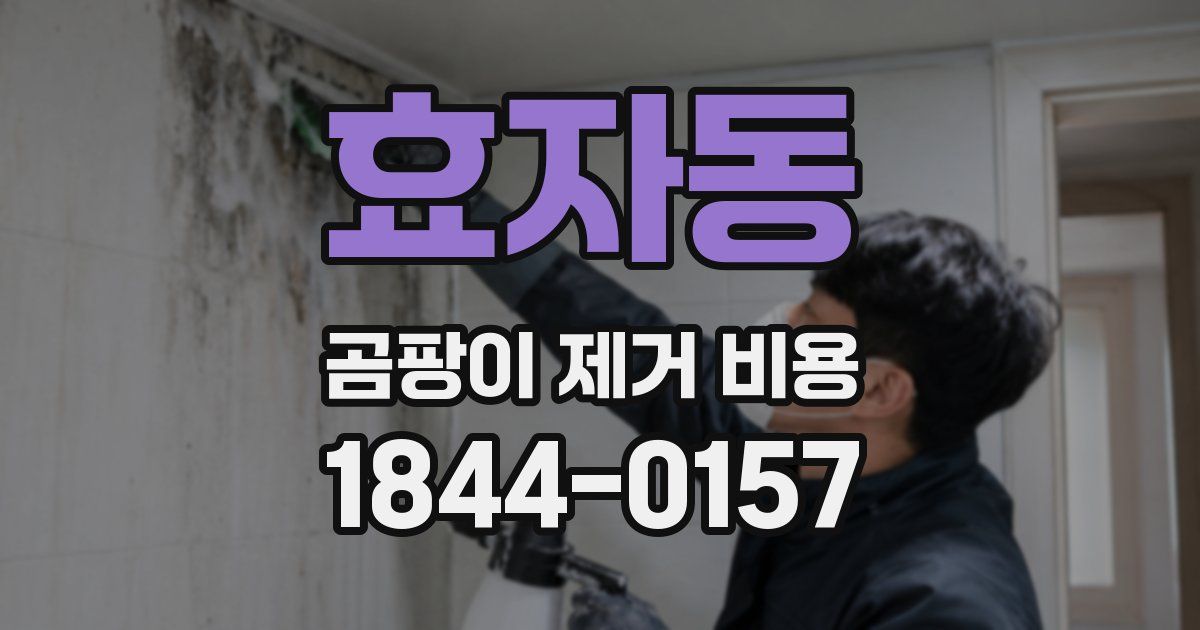 효자동 곰팡이 제거 비용