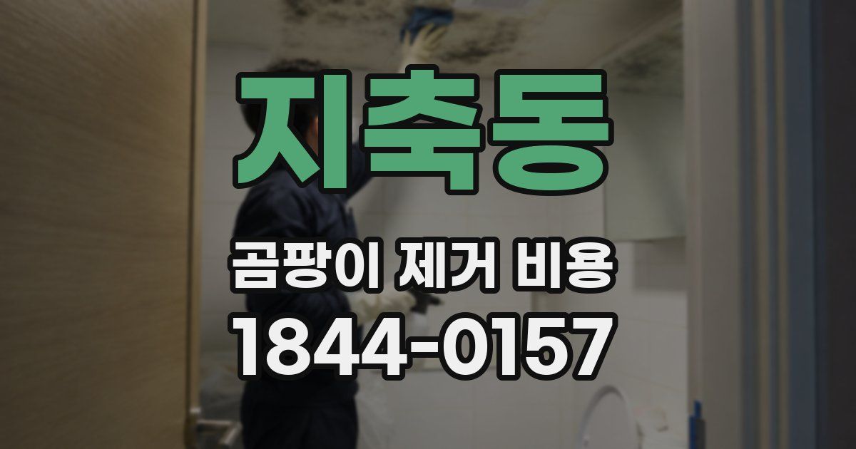 지축동 곰팡이 제거 비용