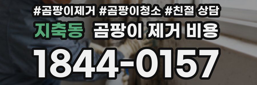 지축동 곰팡이 제거 비용
