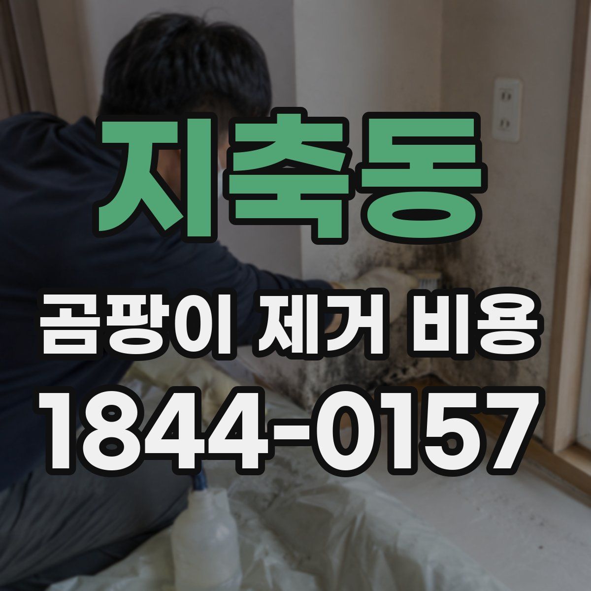 지축동 곰팡이 제거 비용