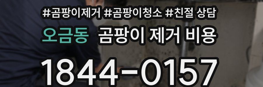 오금동 곰팡이 제거 비용