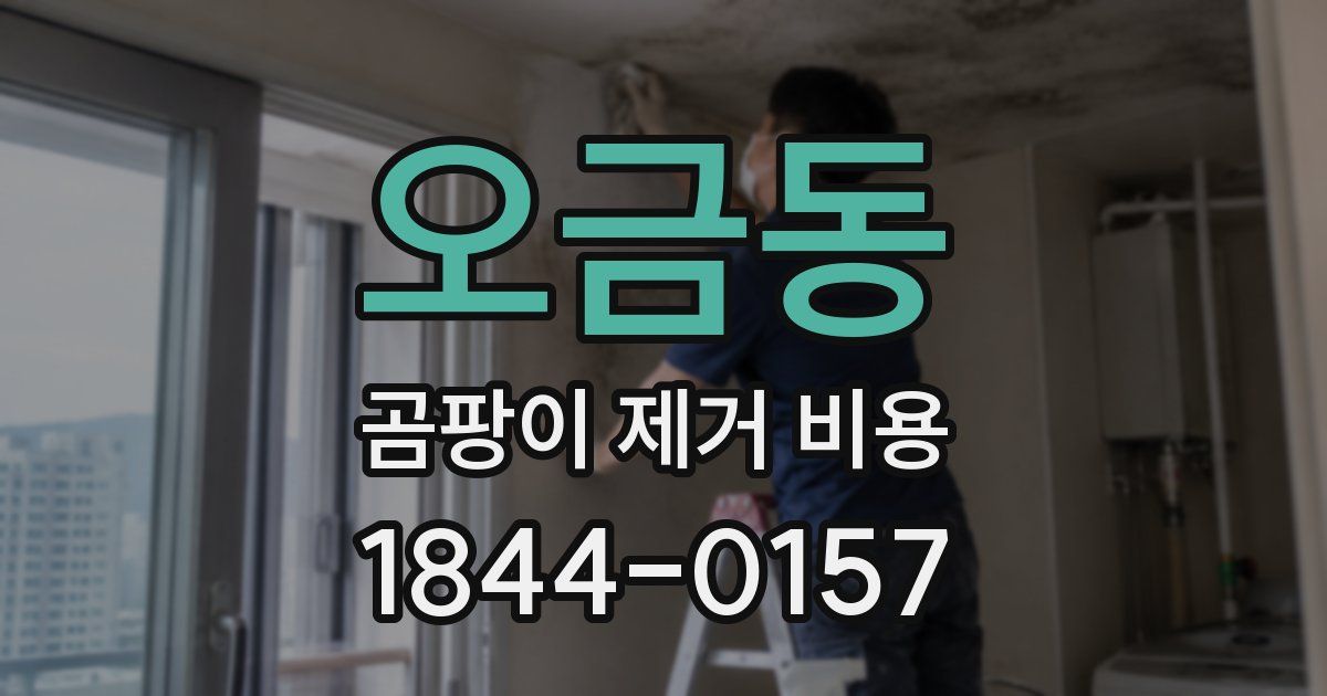 오금동 곰팡이 제거 비용