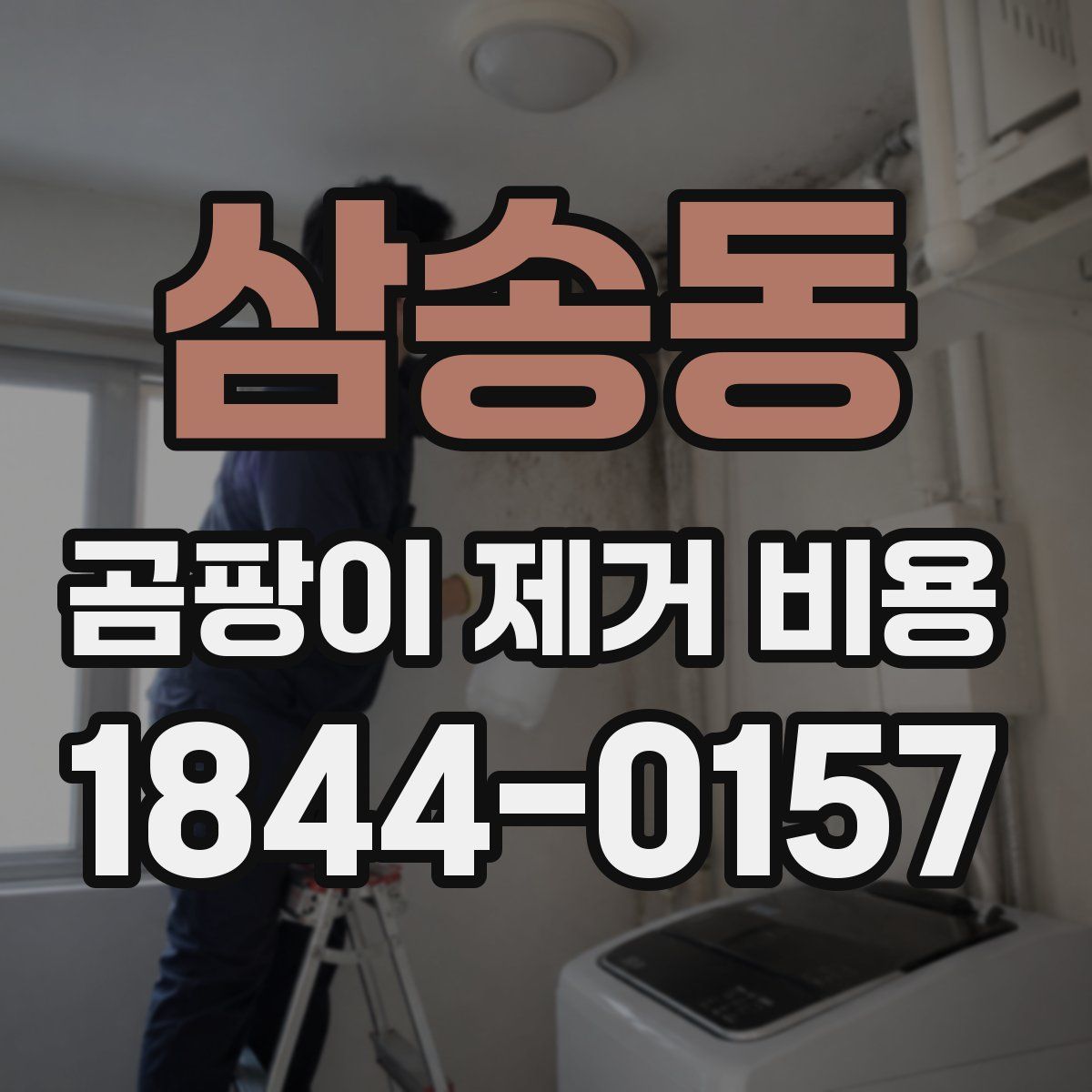 삼송동 곰팡이 제거 비용