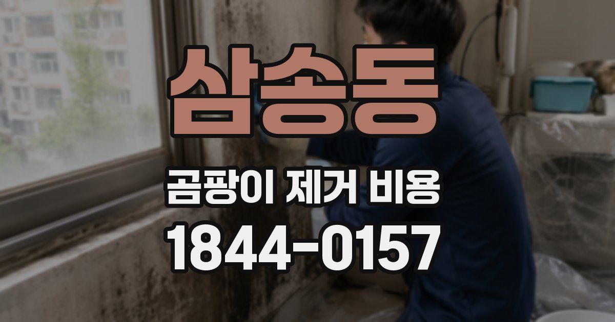 삼송동 곰팡이 제거 비용