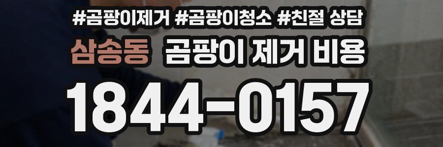 삼송동 곰팡이 제거 비용