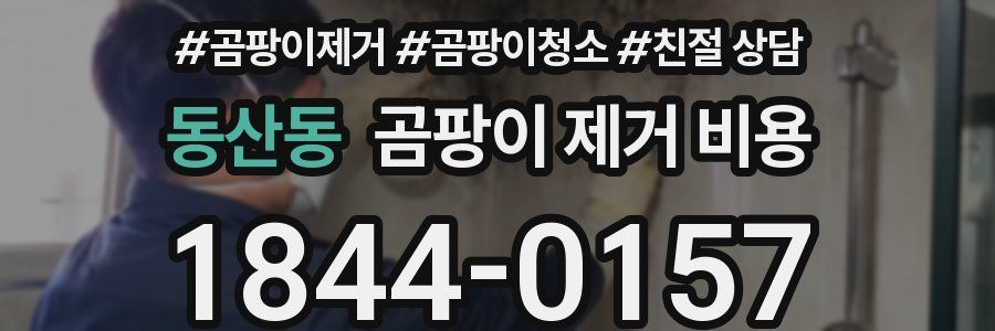 동산동 곰팡이 제거 비용