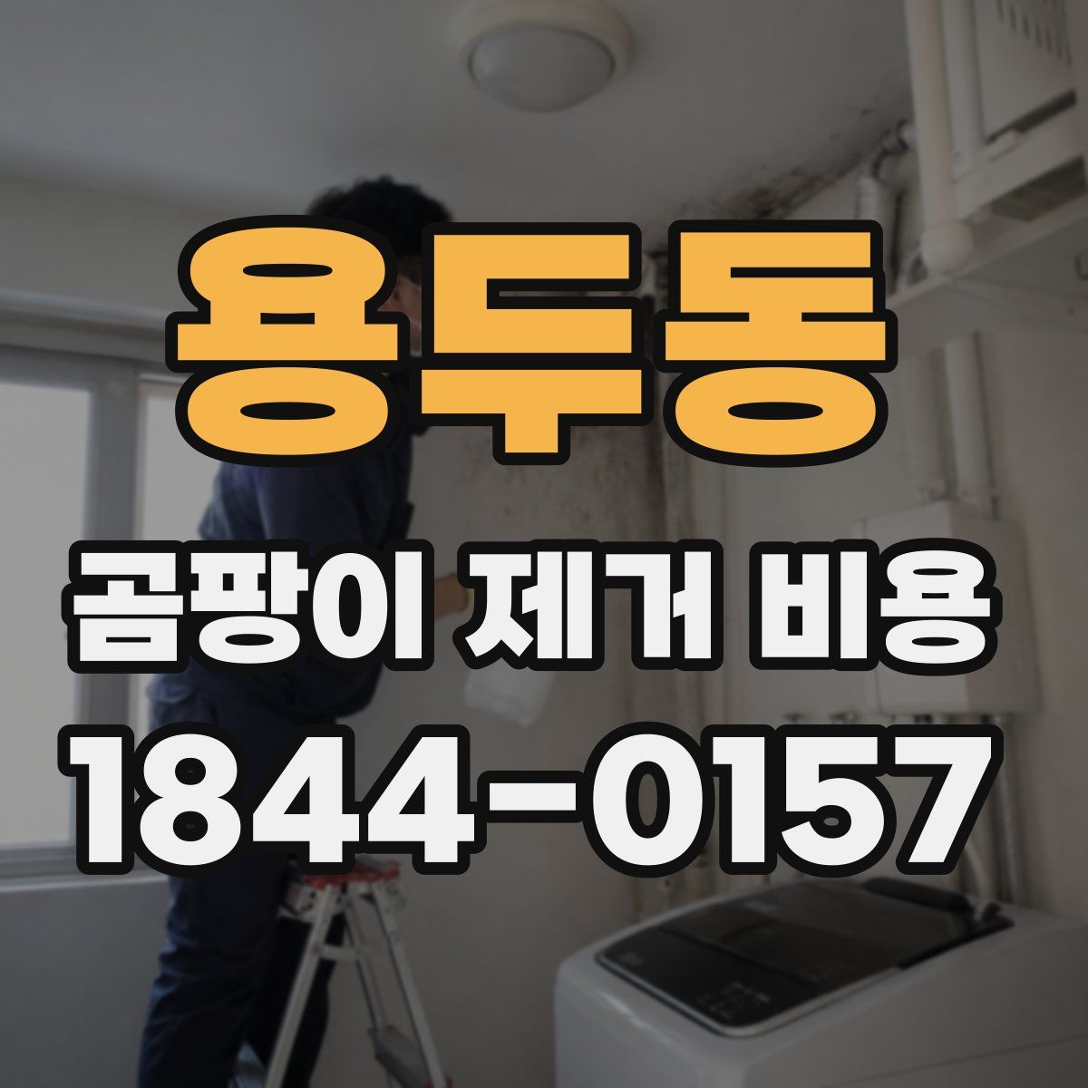 용두동 곰팡이 제거 비용