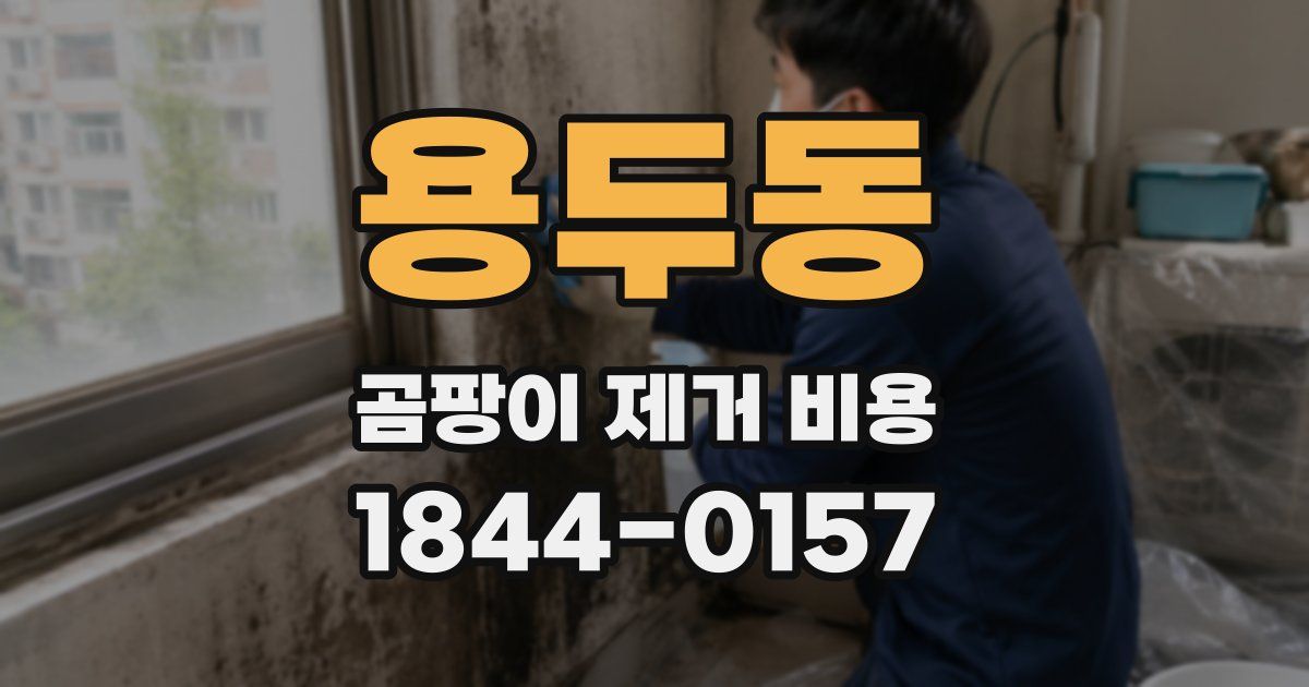 용두동 곰팡이 제거 비용
