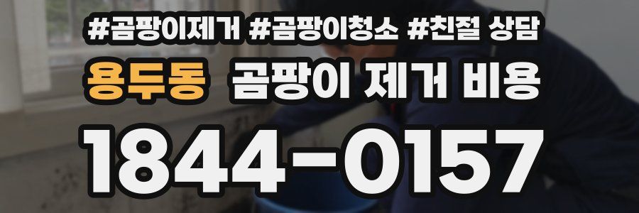 용두동 곰팡이 제거 비용