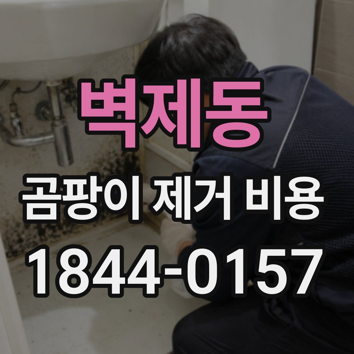 벽제동 곰팡이 제거 비용