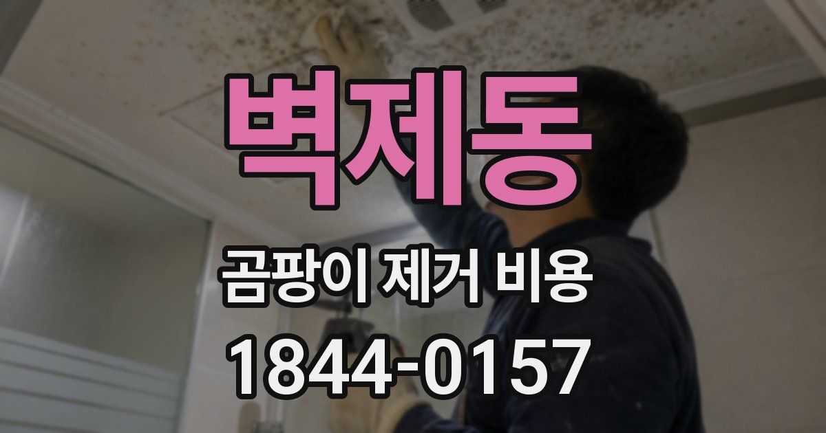 벽제동 곰팡이 제거 비용