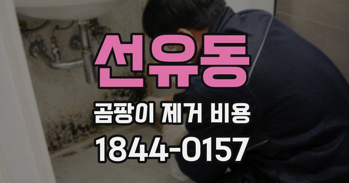 선유동 곰팡이 제거 비용
