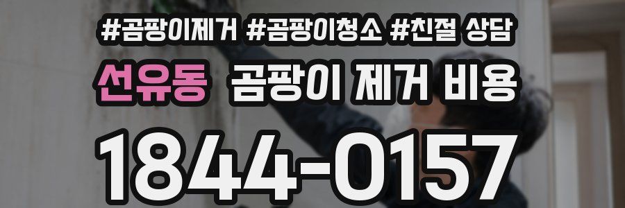 선유동 곰팡이 제거 비용