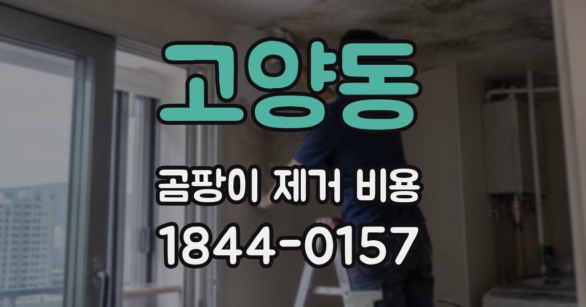 고양동 곰팡이 제거 비용