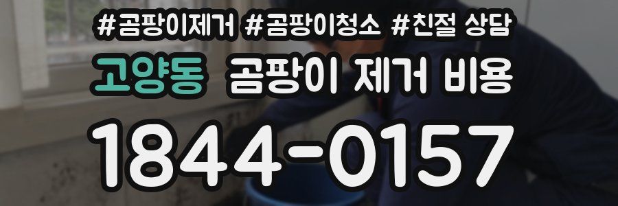 고양동 곰팡이 제거 비용