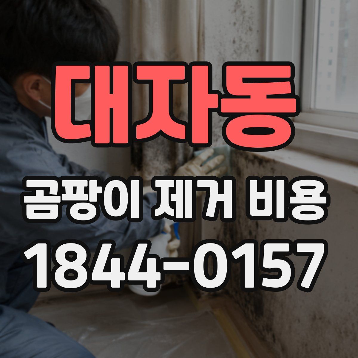 대자동 곰팡이 제거 비용