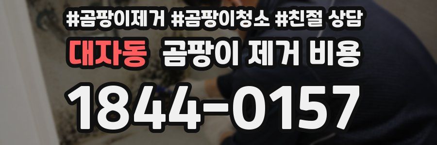 대자동 곰팡이 제거 비용