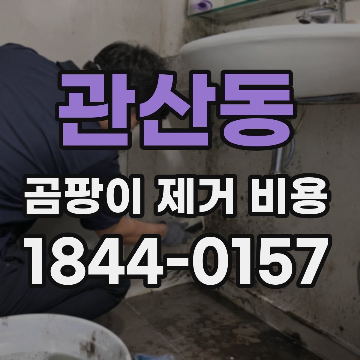 관산동 곰팡이 제거 비용