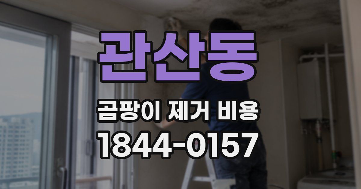 관산동 곰팡이 제거 비용