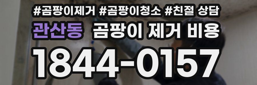 관산동 곰팡이 제거 비용