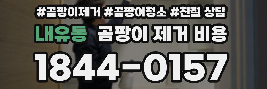 내유동 곰팡이 제거 비용