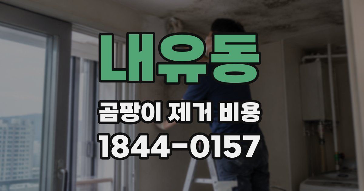 내유동 곰팡이 제거 비용