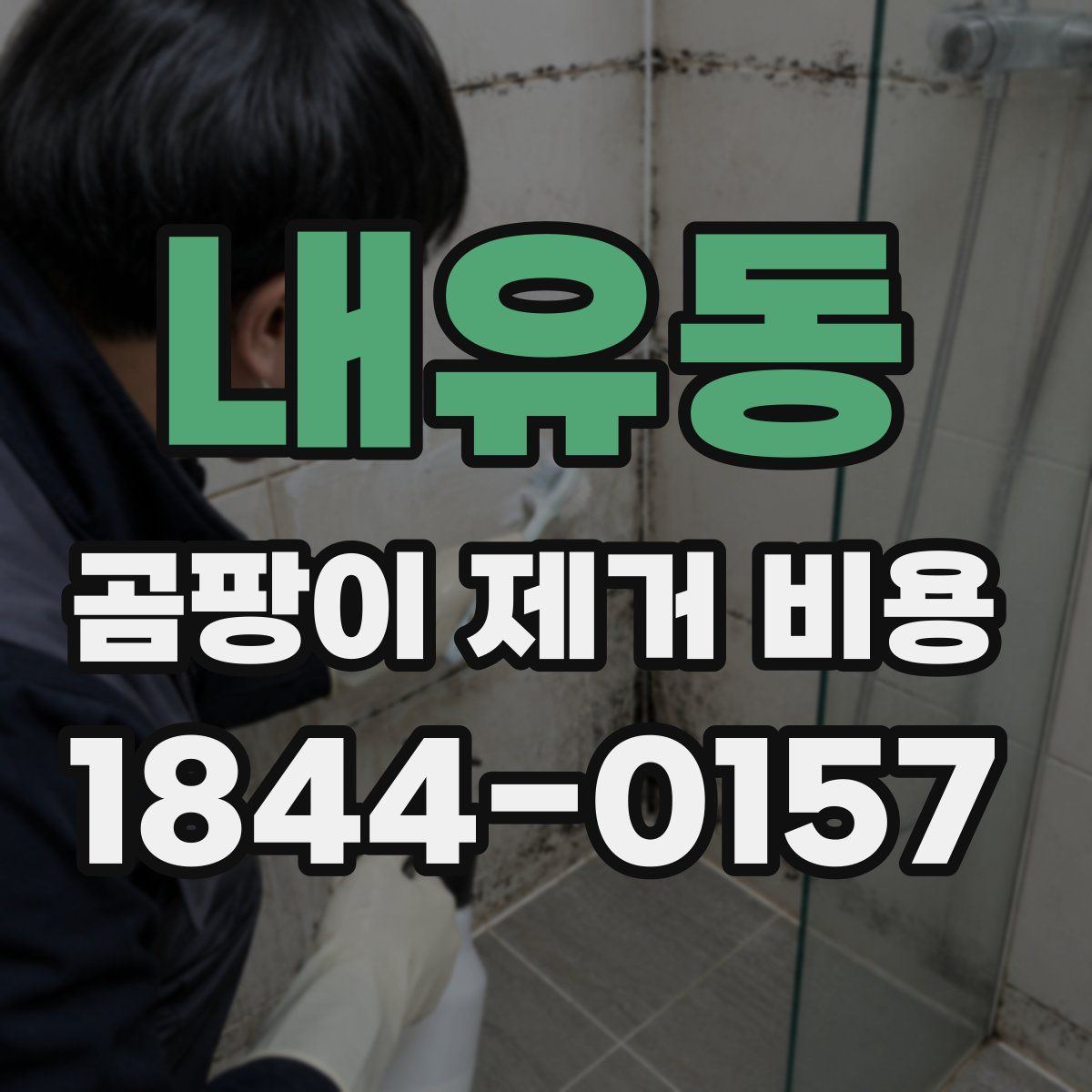 내유동 곰팡이 제거 비용