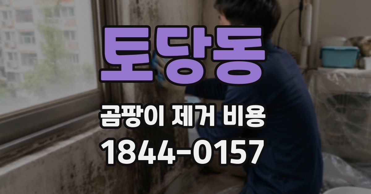 토당동 곰팡이 제거 비용