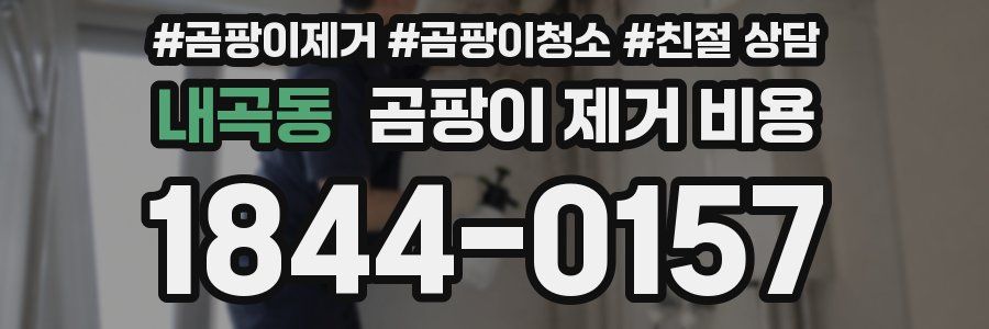 내곡동 곰팡이 제거 비용