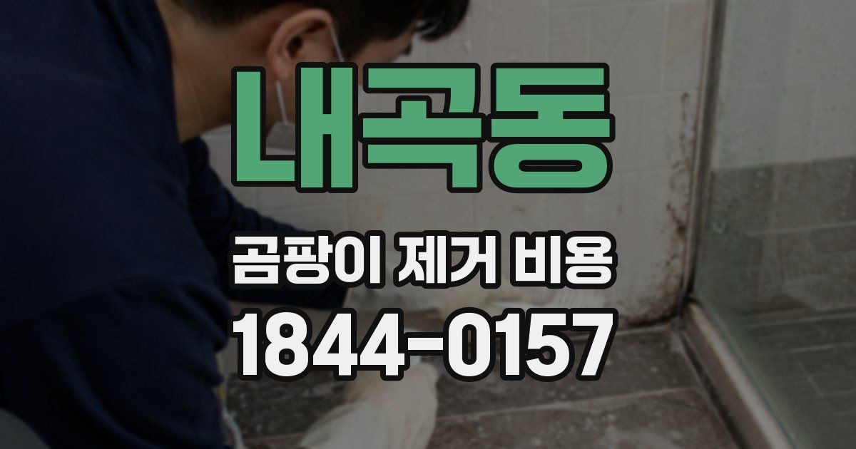 내곡동 곰팡이 제거 비용