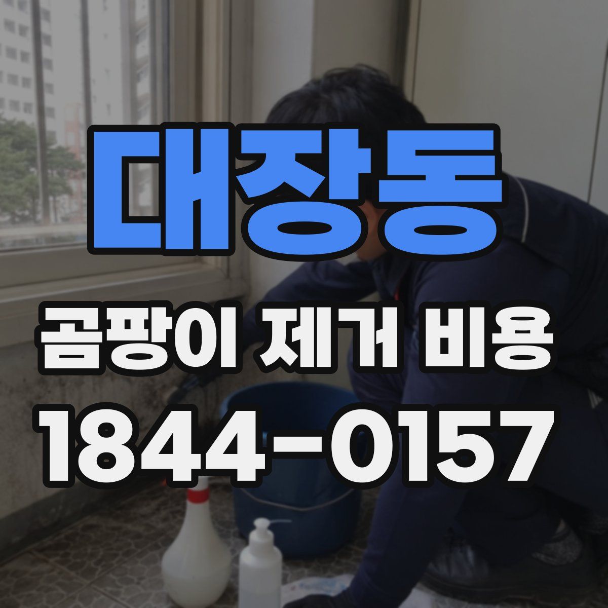 대장동 곰팡이 제거 비용