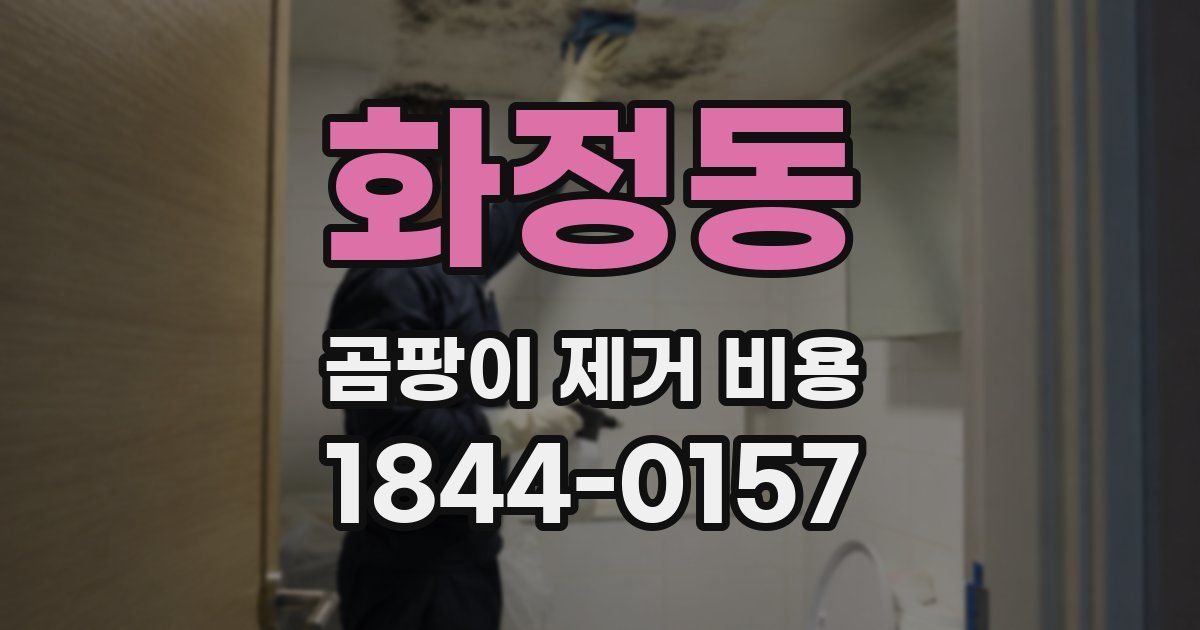 화정동 곰팡이 제거 비용