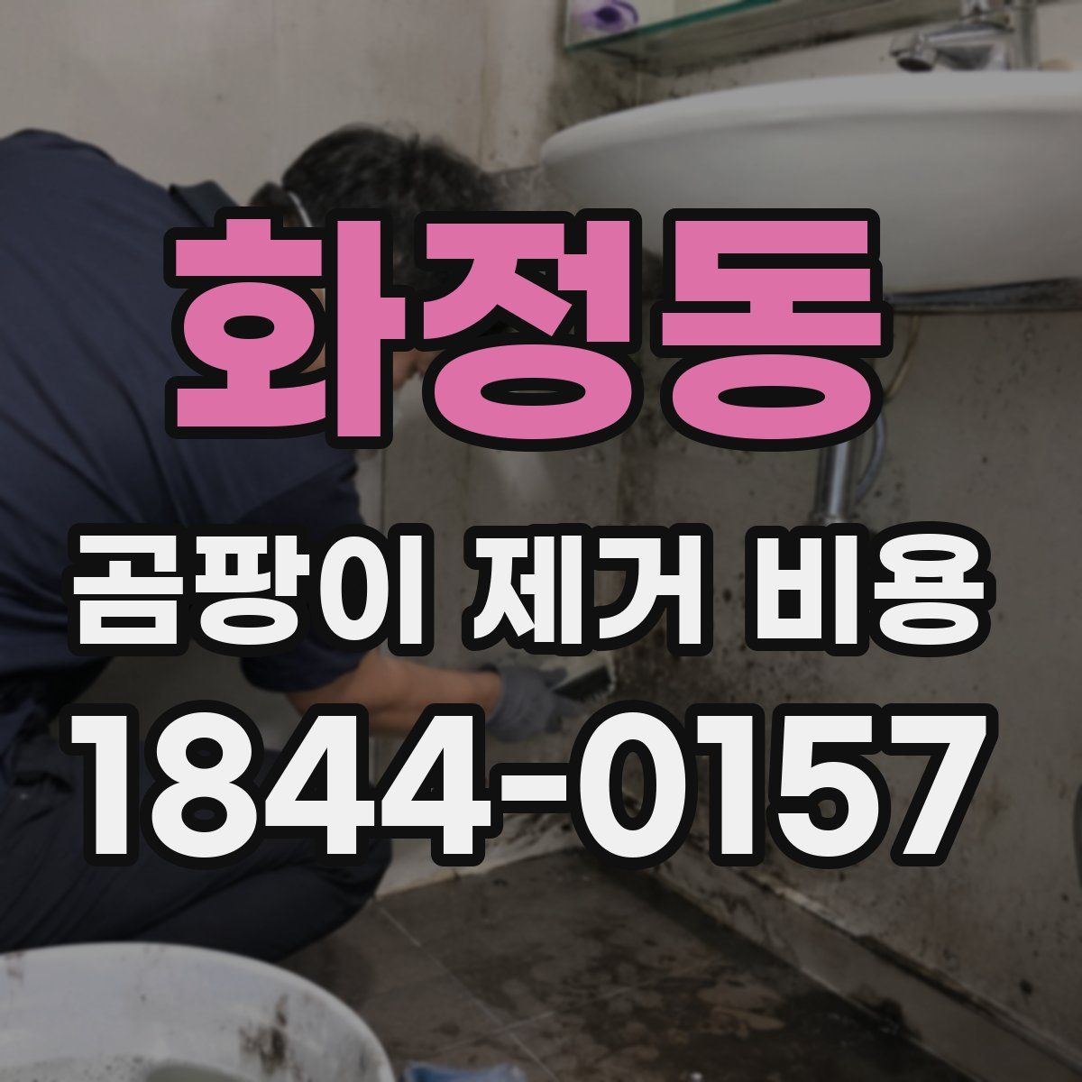 화정동 곰팡이 제거 비용