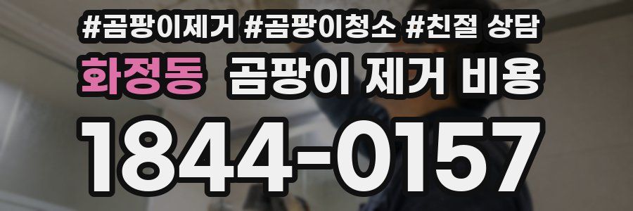 화정동 곰팡이 제거 비용