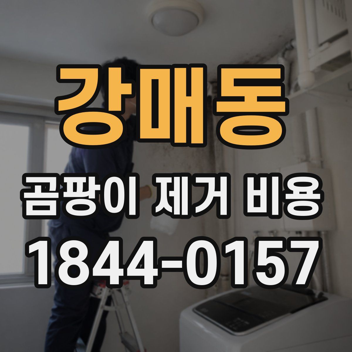 강매동 곰팡이 제거 비용