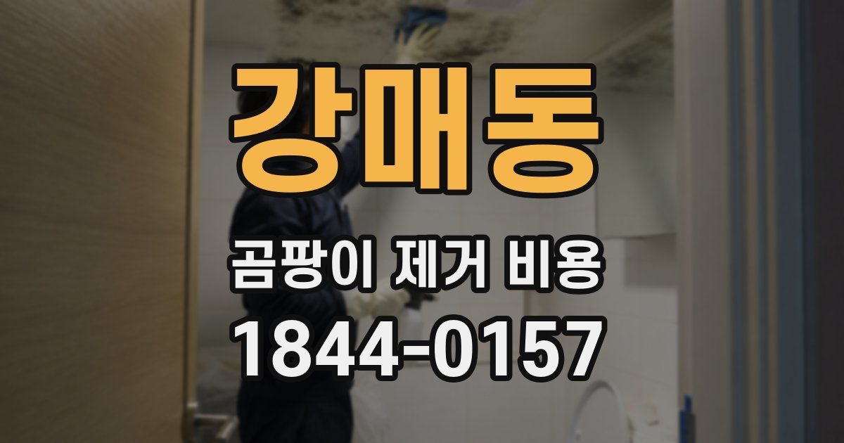 강매동 곰팡이 제거 비용