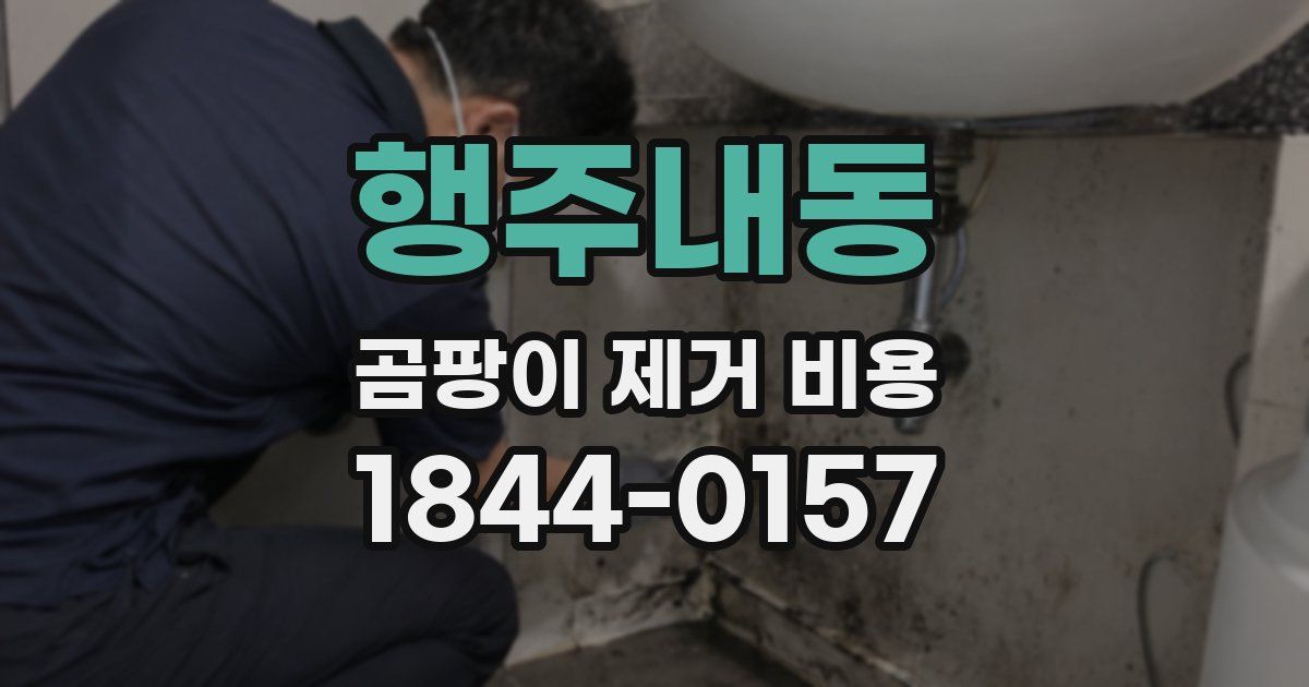 행주내동 곰팡이 제거 비용