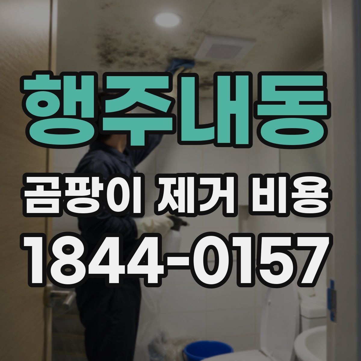 행주내동 곰팡이 제거 비용