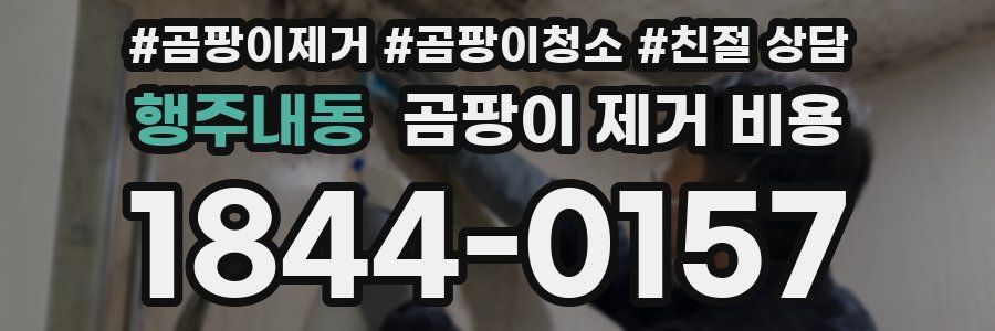 행주내동 곰팡이 제거 비용