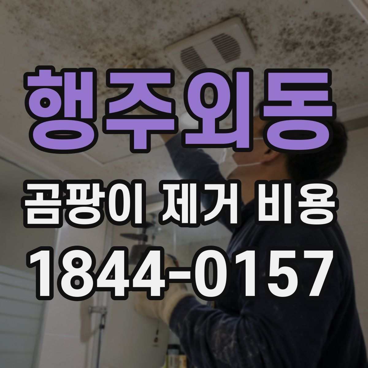 행주외동 곰팡이 제거 비용