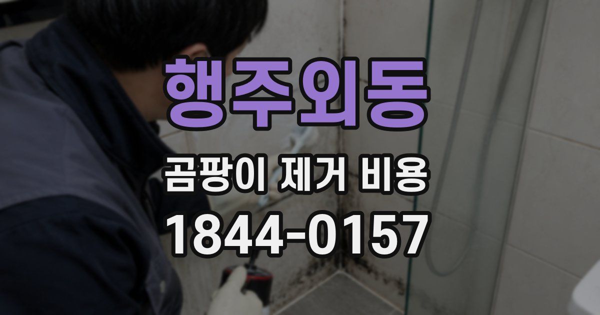 행주외동 곰팡이 제거 비용