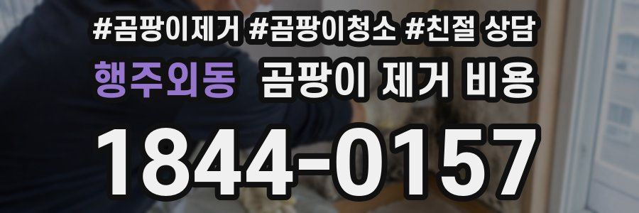 행주외동 곰팡이 제거 비용