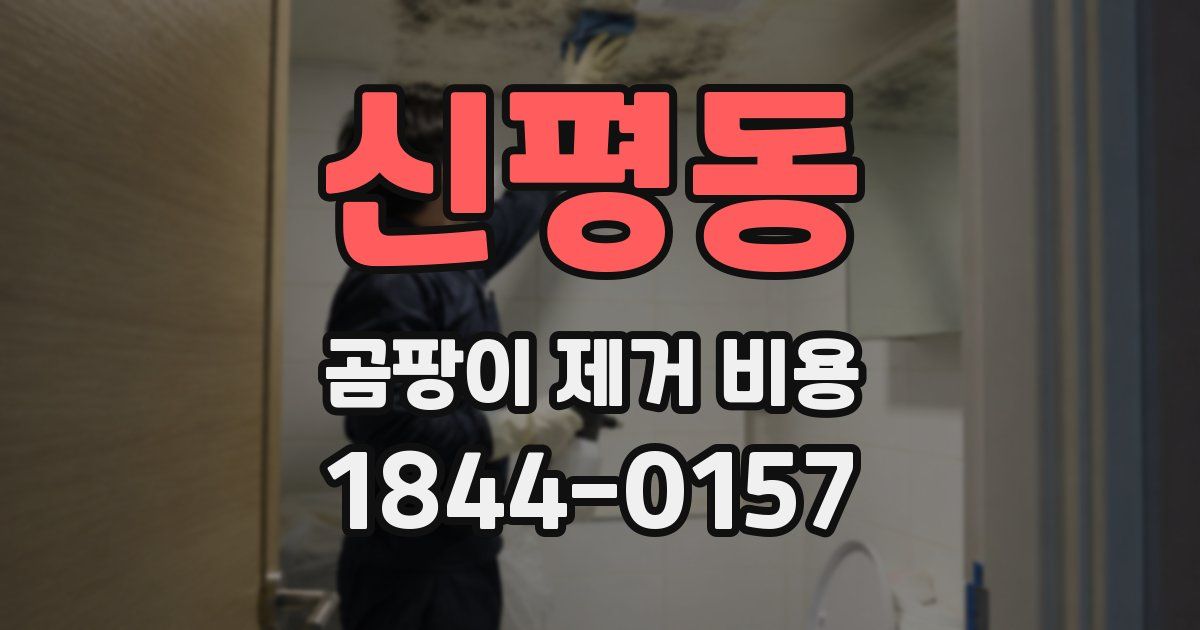 신평동 곰팡이 제거 비용