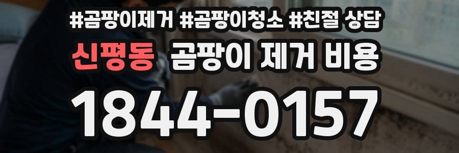 신평동 곰팡이 제거 비용