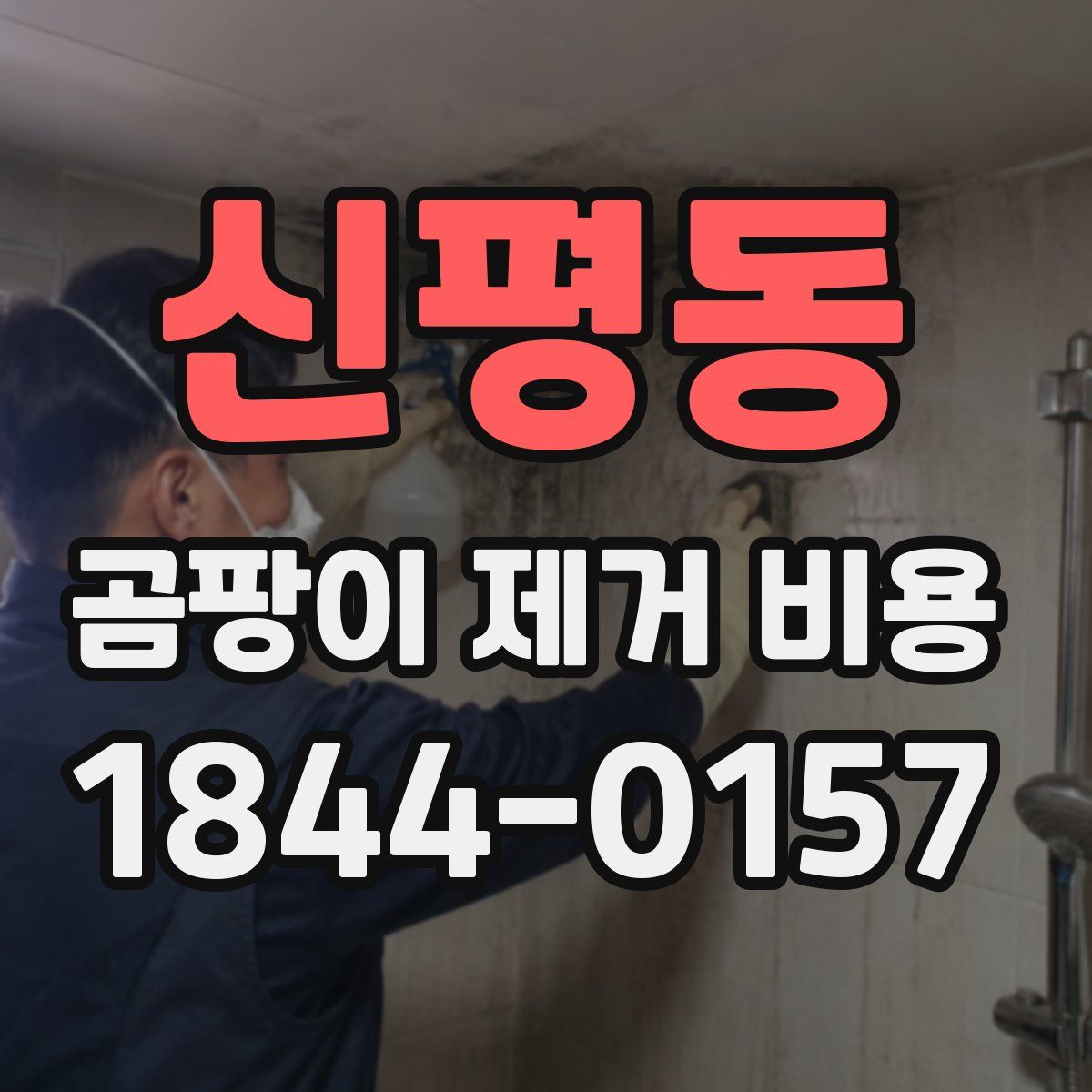 신평동 곰팡이 제거 비용