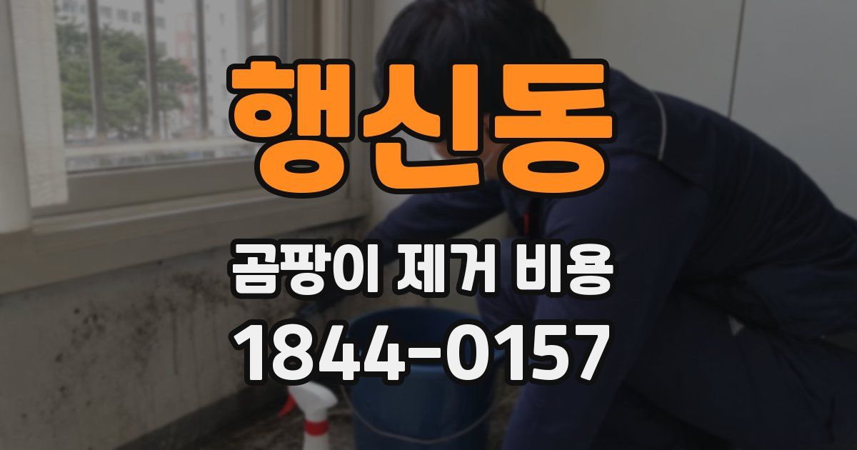 행신동 곰팡이 제거 비용